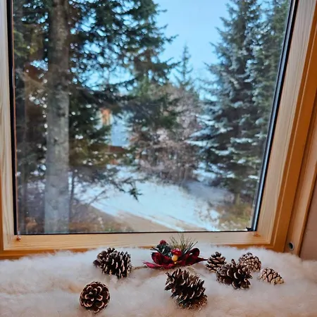 Διαμέρισμα Sky Light *