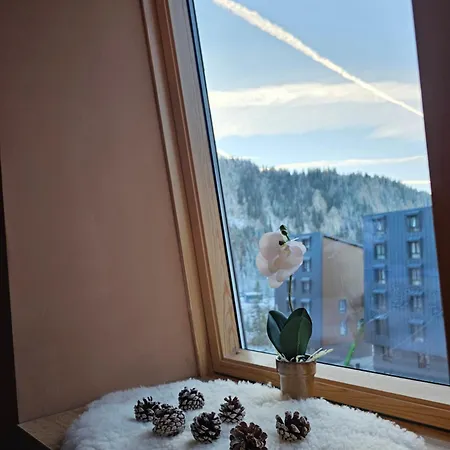 Sky Light