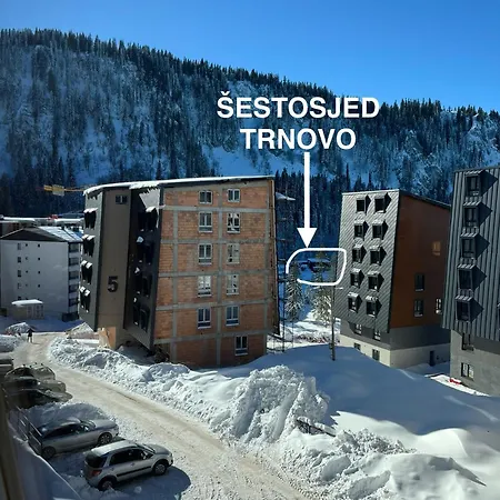 Sky Light * Τζαχορίνα